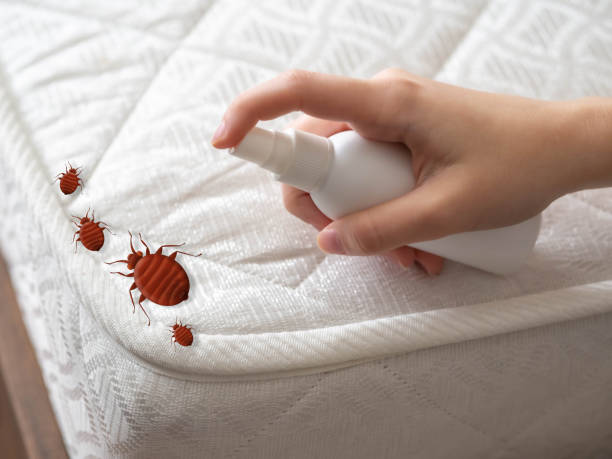 Best Cockroach Control Services  in Horton, KS