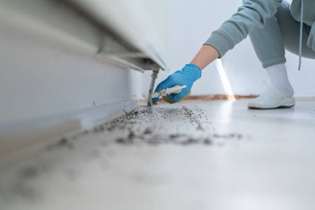 Best Pest Prevention Services  in Horton, KS